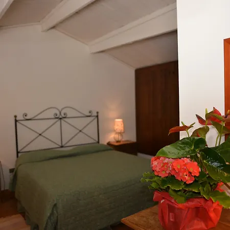 Fattoria Il Casalone *
