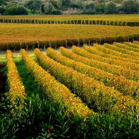 Séjour à la ferme Fattoria Il Casalone *