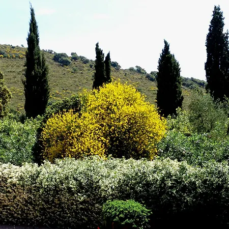 Fattoria Il Casalone *